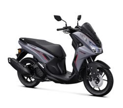 LEXI-LX-STD
