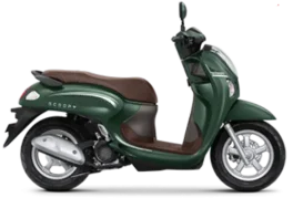 scoopy